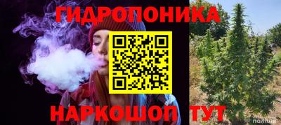 тгк Можга