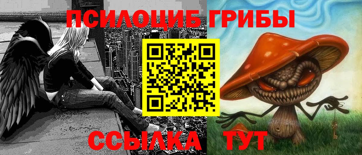 Псилоцибиновые грибы Psilocybine cubensis  Вход с VPN  Новокузнецк 