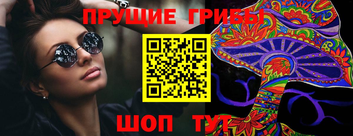 Псилоцибиновые грибы GOLDEN TEACHER Новокузнецк