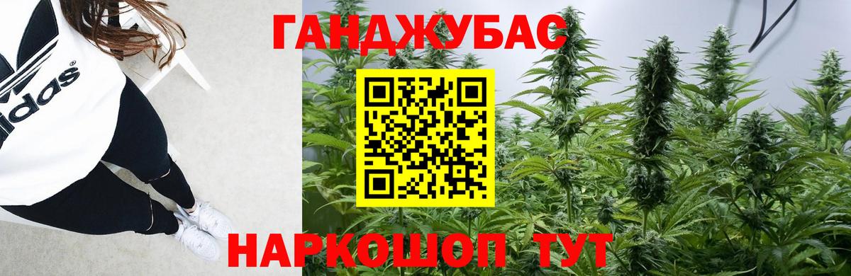 Конопля семена Новокузнецк